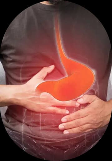 Digestion