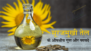 सूरजमुखी तेल के औषधीय गुण और फायदे