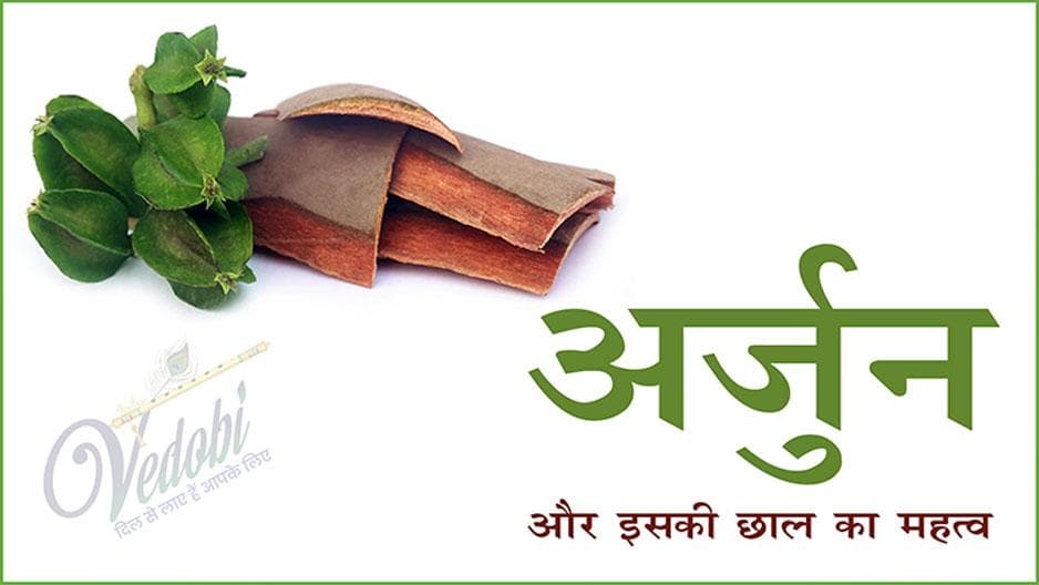 अर्जुन और इसकी छाल का महत्व
