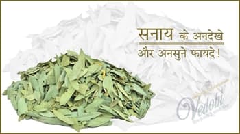 सनाय और इसके फायदे
