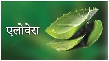 एलोवेरा