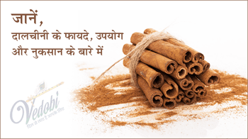 जानें, दालचीनी के फायदे, उपयोग और नुकसान के बारे में