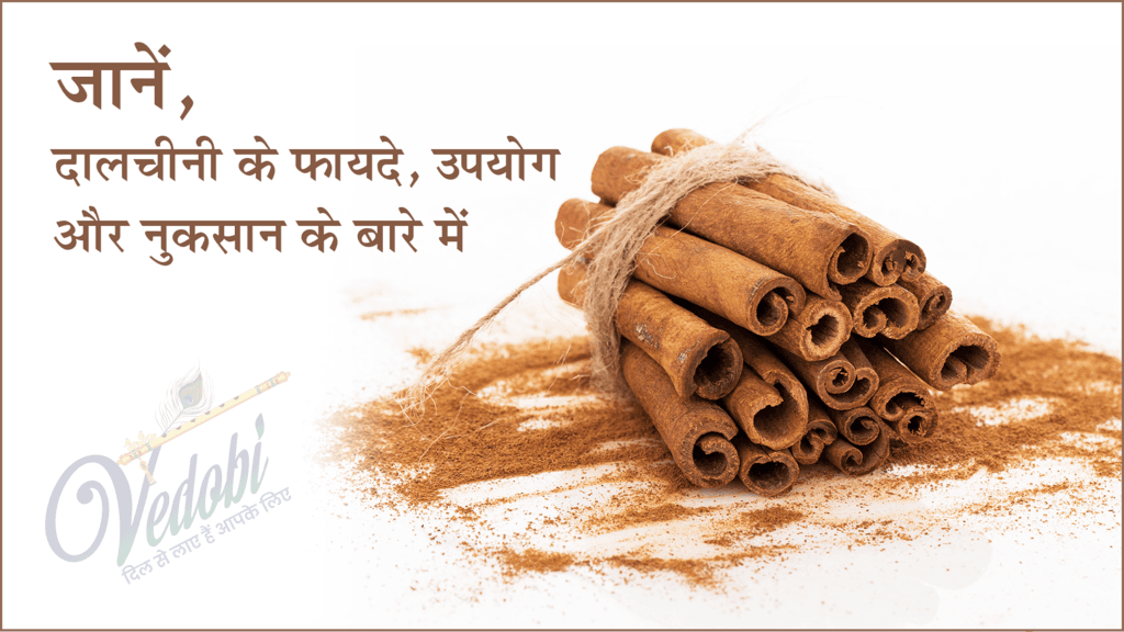 जानें, दालचीनी के फायदे, उपयोग और नुकसान के बारे में