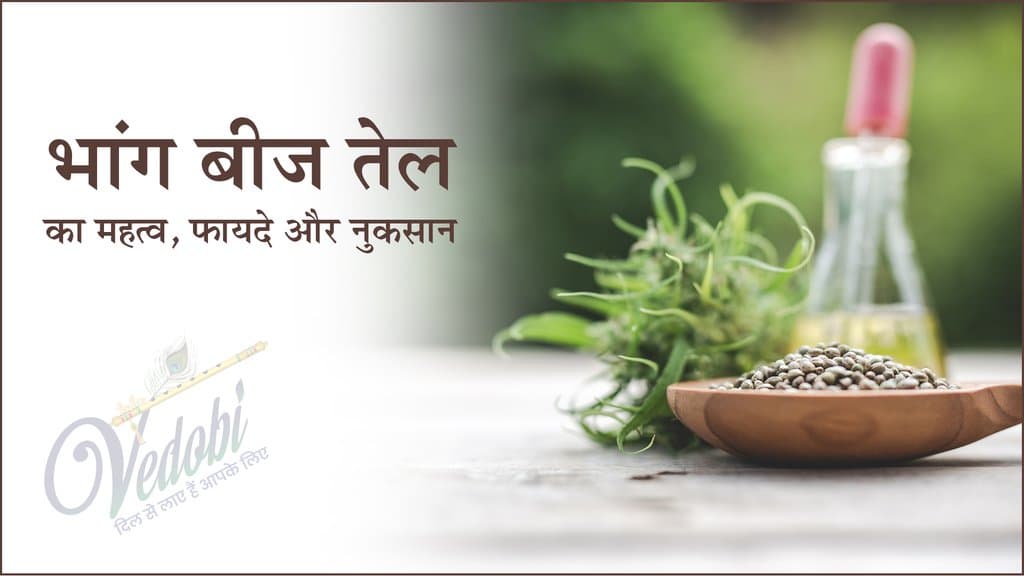 भांग बीज तेल का महत्व, फायदे और नुकसान