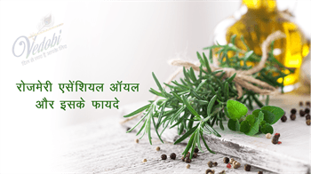 रोजमेरी एसेंशियल ऑयल और इसके फायदे