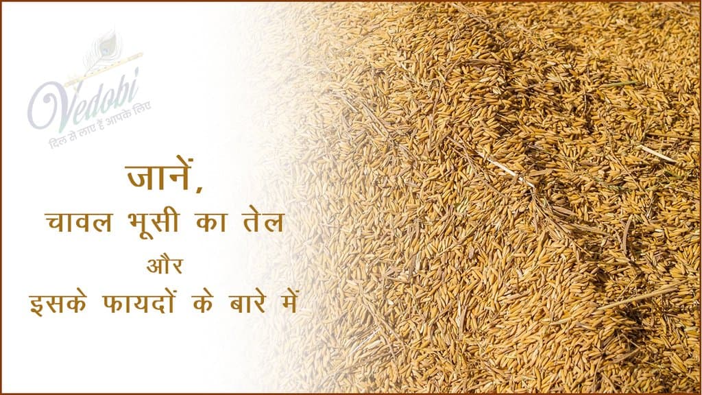 जानें, चावल भूसी का तेल और इसके फायदों के बारे में