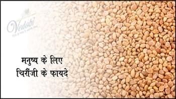 मनुष्य के लिए चिरौंजी के फायदे