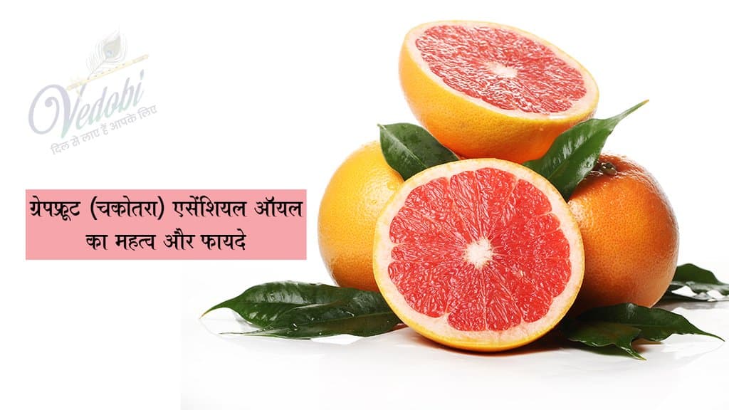ग्रेपफ्रूट (चकोतरा) एसेंशियल ऑयल का महत्व और फायदे