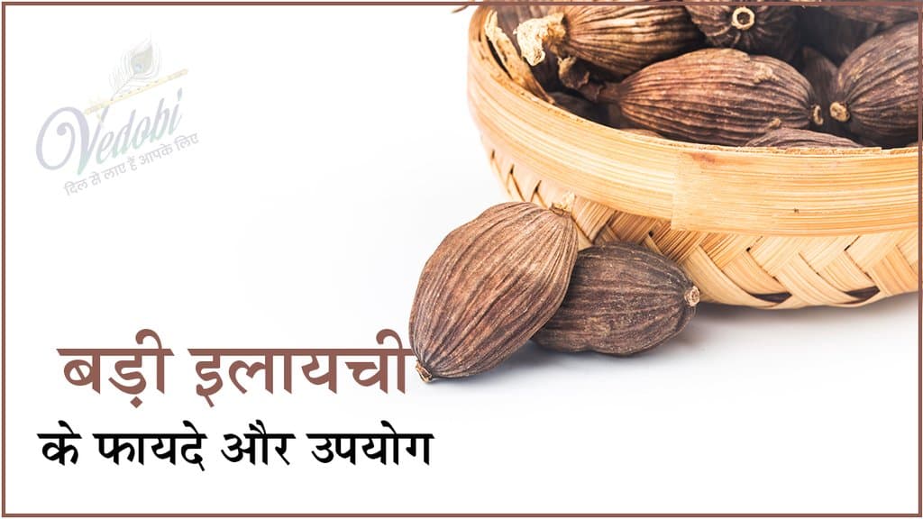 बड़ी इलायची के फायदे और उपयोग