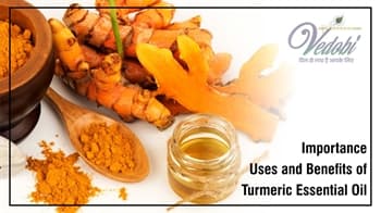 Importance, Uses and Benefits of Turmeric Essential Oil