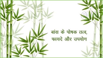 बांस के पोषक तत्व, फायदे और उपयोग