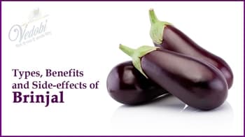 Types, Benefits, and Side-effects of Brinjal