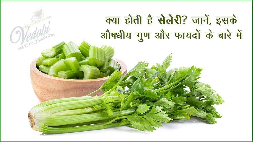 क्या होती है सेलेरी? जानें, इसके औषधीय गुण और फायदों के बारे में
