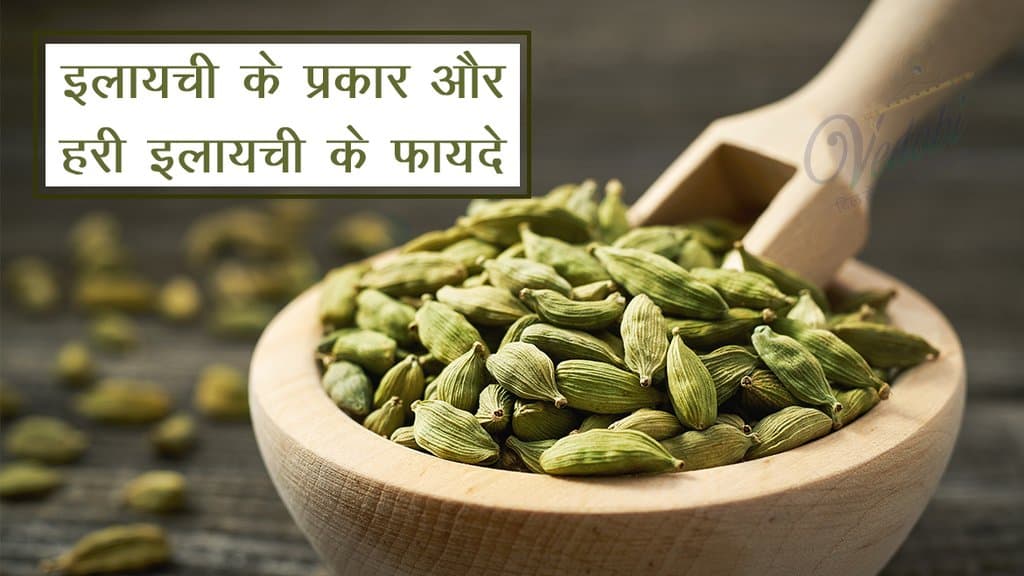 इलायची के प्रकार और हरी इलायची के फायदे