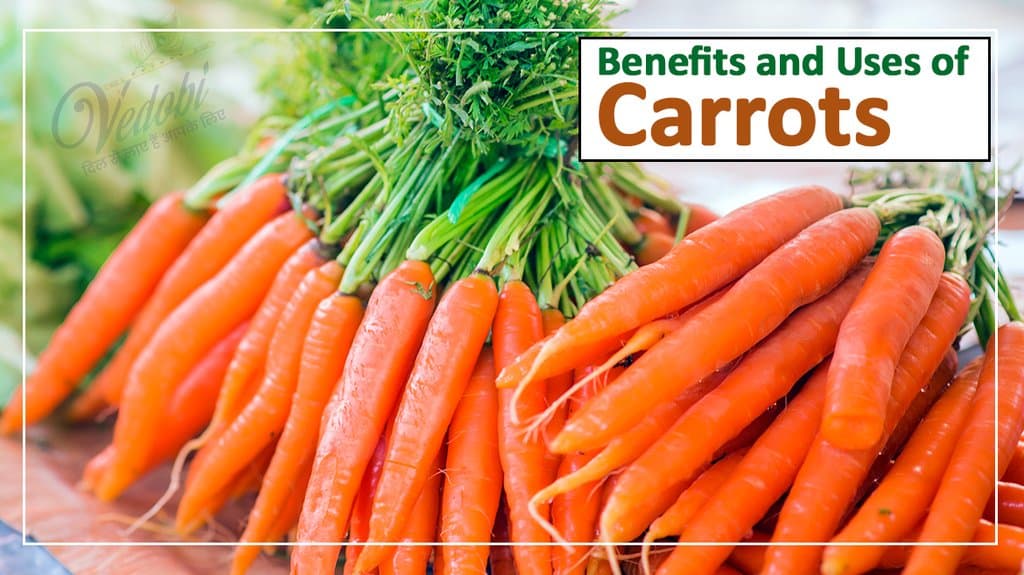 Benefits and Uses of Carrots