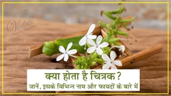 क्या होता है चित्रक? जानें, इसके विभिन्न नाम और फायदों के बारे में