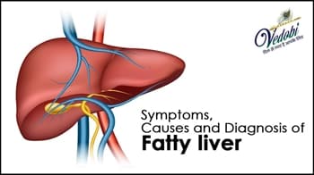 Symptoms, Causes and Diagnosis of Fatty liver