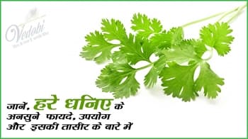 जानें, हरे धनिए के अनसुने फायदे, उपयोग और इसकी तासीर के बारे में