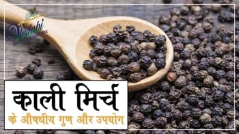 काली मिर्च के औषधीय गुण और उपयोग