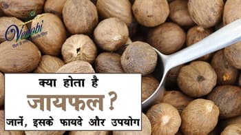 क्या होता है जायफल? जानें, इसके फायदे और उपयोग