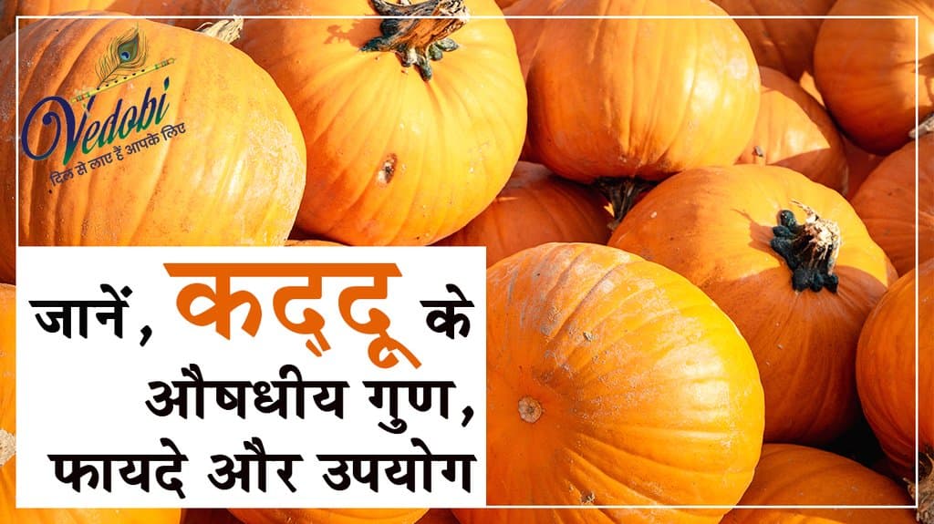 जानें, कद्दू के औषधीय गुण, फायदे और उपयोग