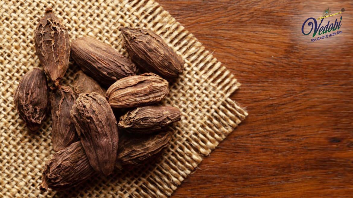 Know the Benefits, Uses and Side effects of Big Cardamom