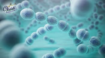 What is Pneumococcal disease? Know its Types, Symptoms and Diagnosis