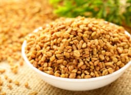 Fenugreek (Trigonella foenum-graecum)