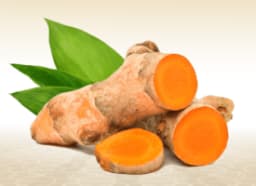 Turmeric (Curcuma longa)