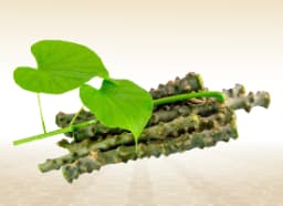 Giloy (Tinospora cordifolia)
