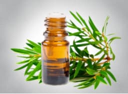Tea Tree Essential Oil