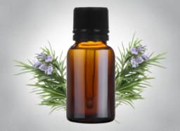 Rosemary Essential Oil