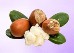 Shea Butter
