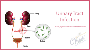 Urinary Tract Infection: Causes, Symptoms and Home remedies