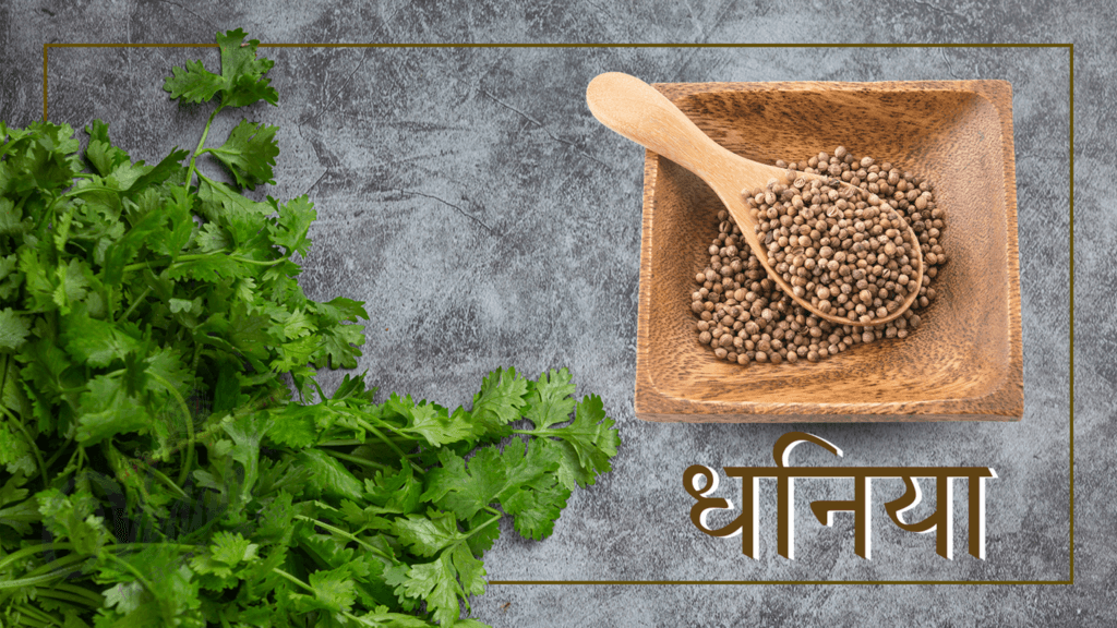धनिया