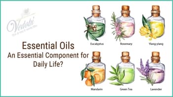 Essential Oils: An Essential Component for Daily Life?