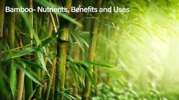 Bamboo- Nutrients, Benefits and Uses