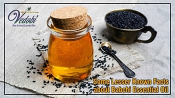 Some Lesser Known Facts about Babchi Essential Oil