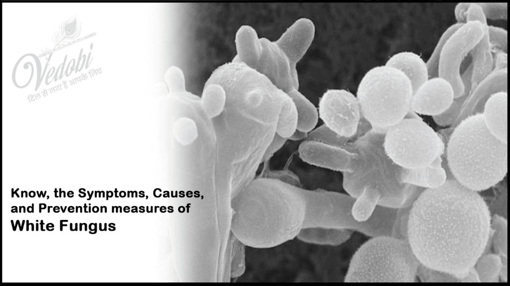 White Fungus- Symptoms, Causes, and Prevention measures