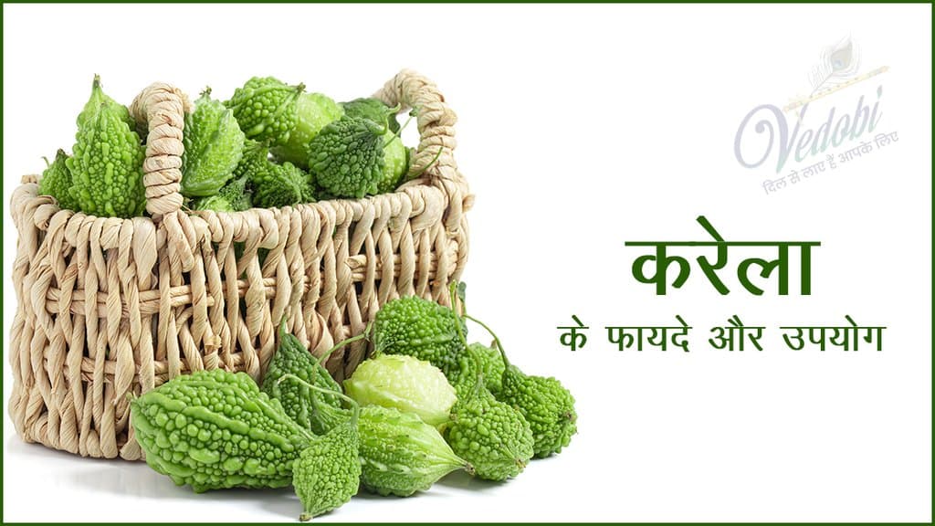 करेला के फायदे और उपयोग