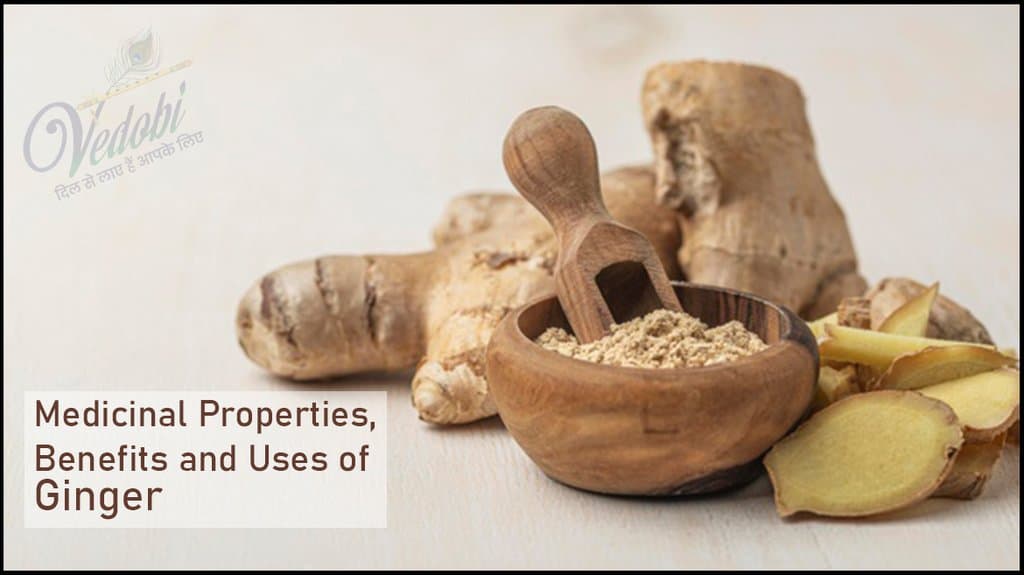 Medicinal Properties, Benefits and Uses of Ginger