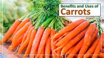 Benefits and Uses of Carrots