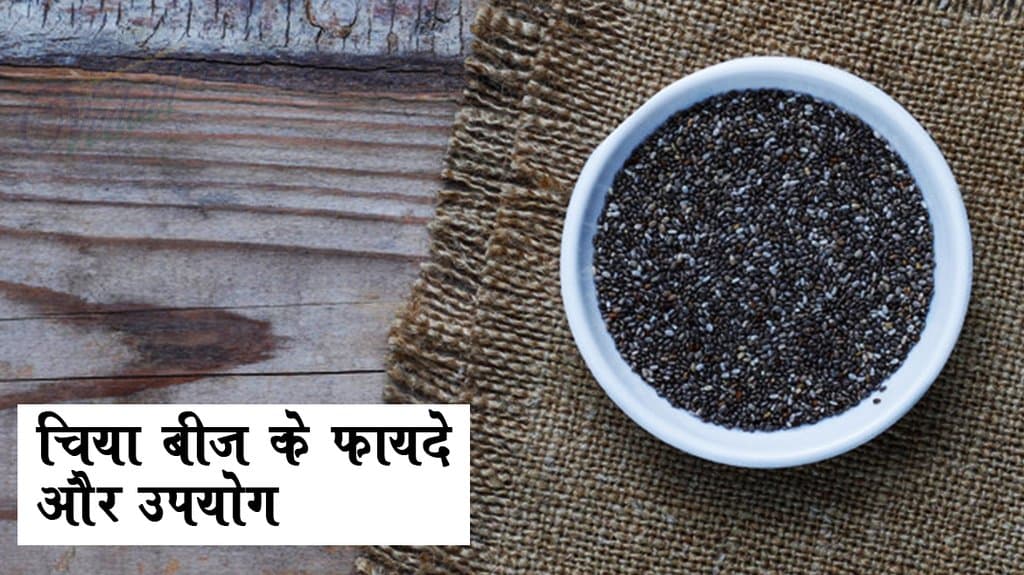 चिया बीज के फायदे और उपयोग