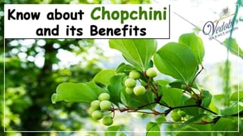 Know about Chopchini and its Benefits