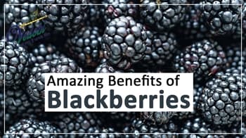 Amazing Benefits of Blackberries