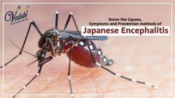 Know the Causes, Symptoms and Prevention methods of Japanese Encephalitis