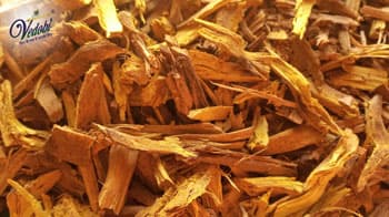 Importance, Medicinal properties and Benefits of Daruharidra in Ayurveda