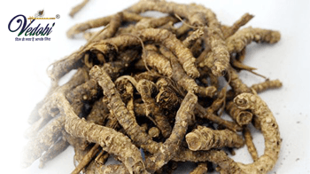Know about the health benefits of Kutki