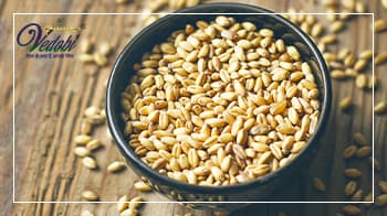 Benefits of Wheat Germ & process of making it