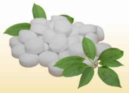 Camphor
